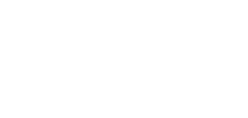 SMETA
